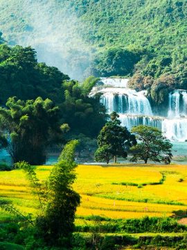 North Vietnam Tours