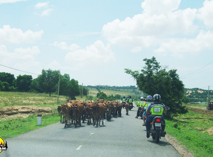 Dalat to Mekong Delta Motorcycle Tour