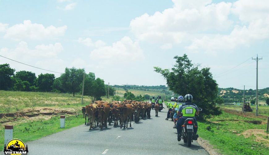 Dalat to Mekong Delta Motorcycle Tour