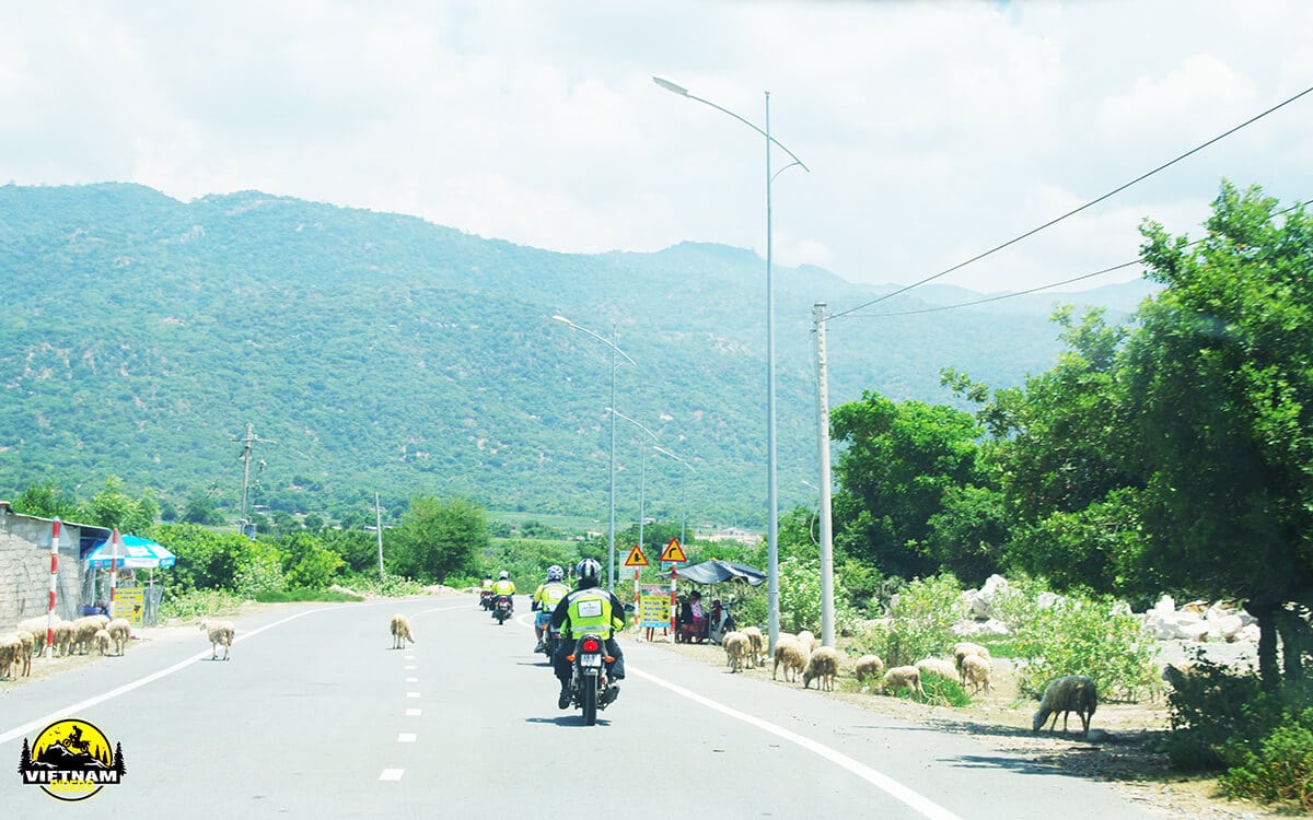 DAY 6: LONG HAI TO SAIGON (180 KM - 6 HOURS RIDING)