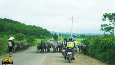 Mekong Delta and Central Highlands Motorcycle Tour