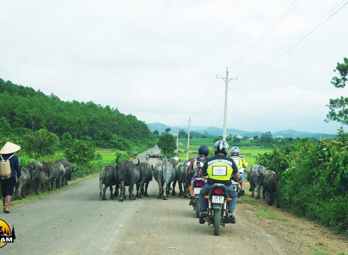 Mekong Delta and Central Highlands Motorcycle Tour