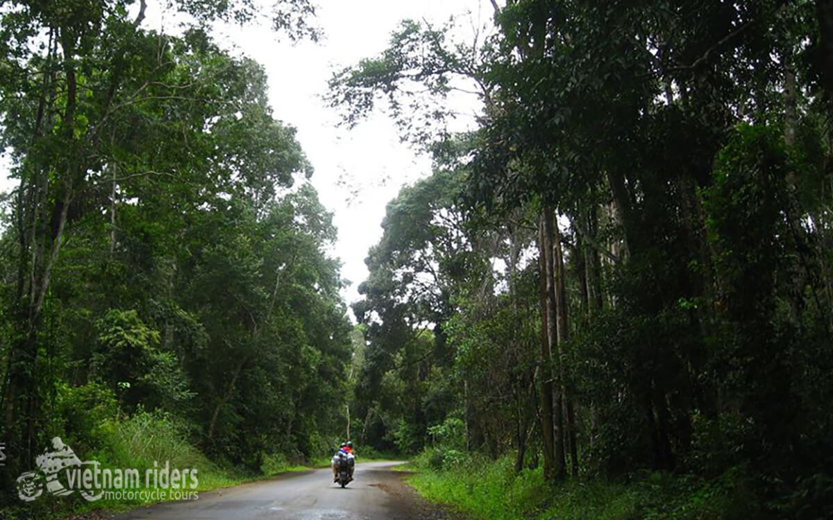 DAY 3: BEN TRE TO DONG XOAI (150 KM – 5 HOURS RIDING)