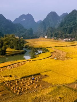 Central Vietnam Tours