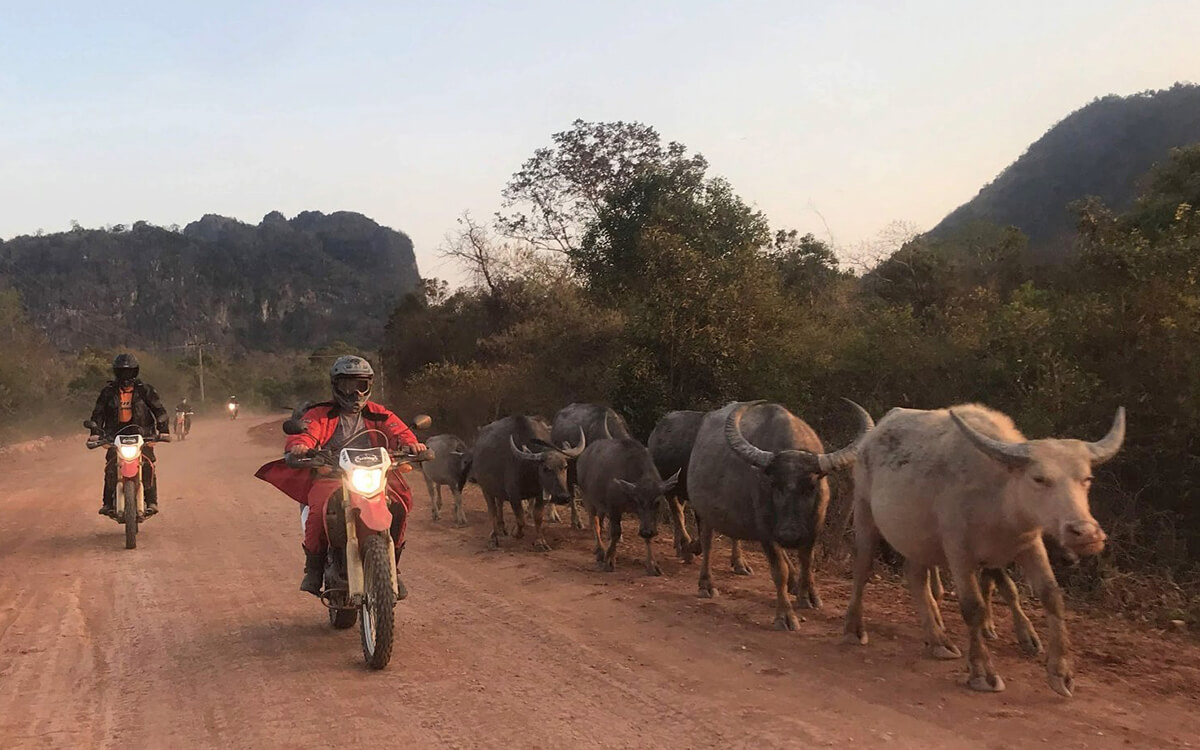 DAY 3: NINH BINH TO THANH HOA (90 KM - 2 HOURS RIDING)